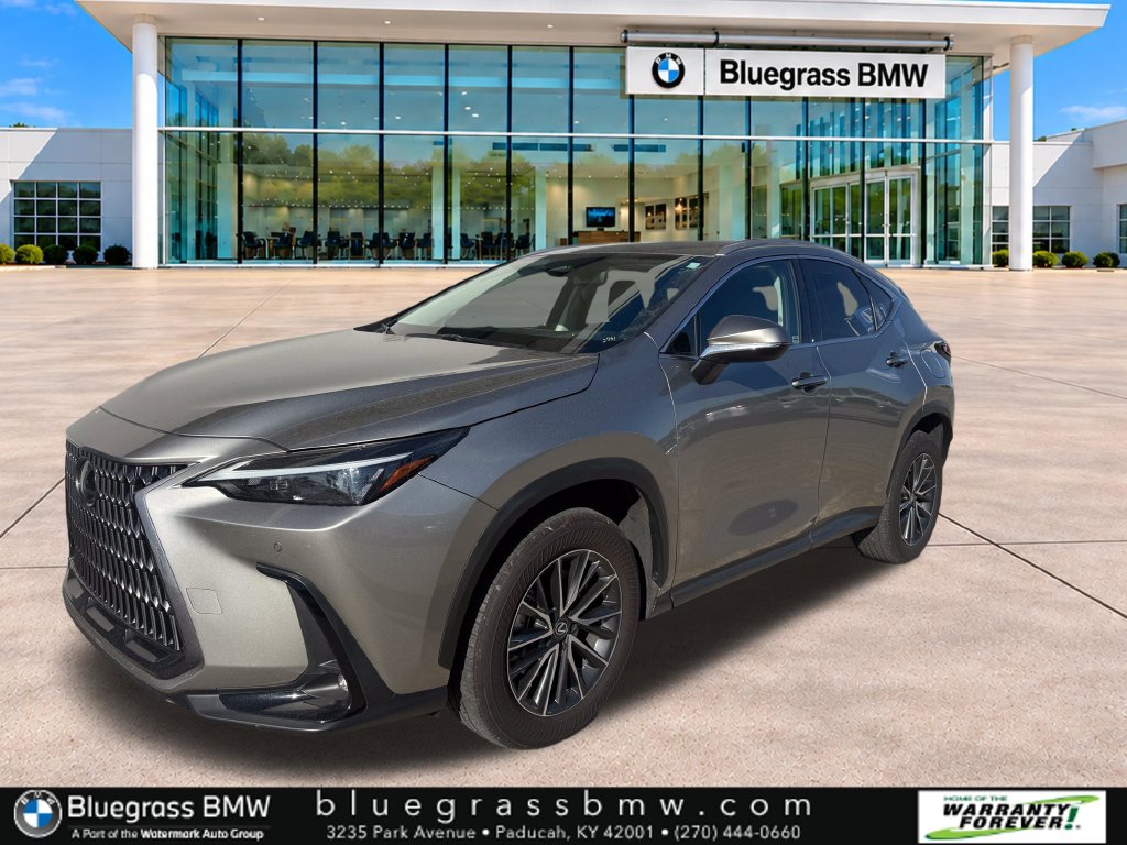 2024 Lexus NX