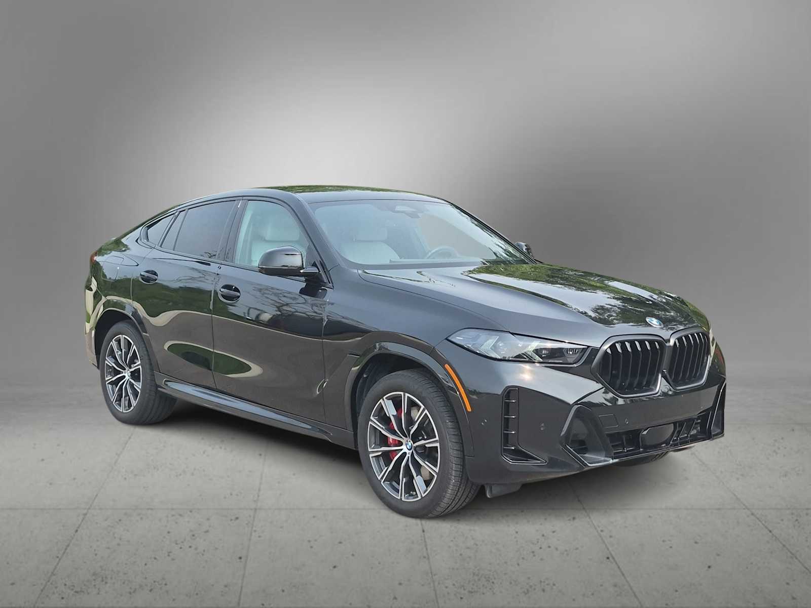 2026 BMW X6