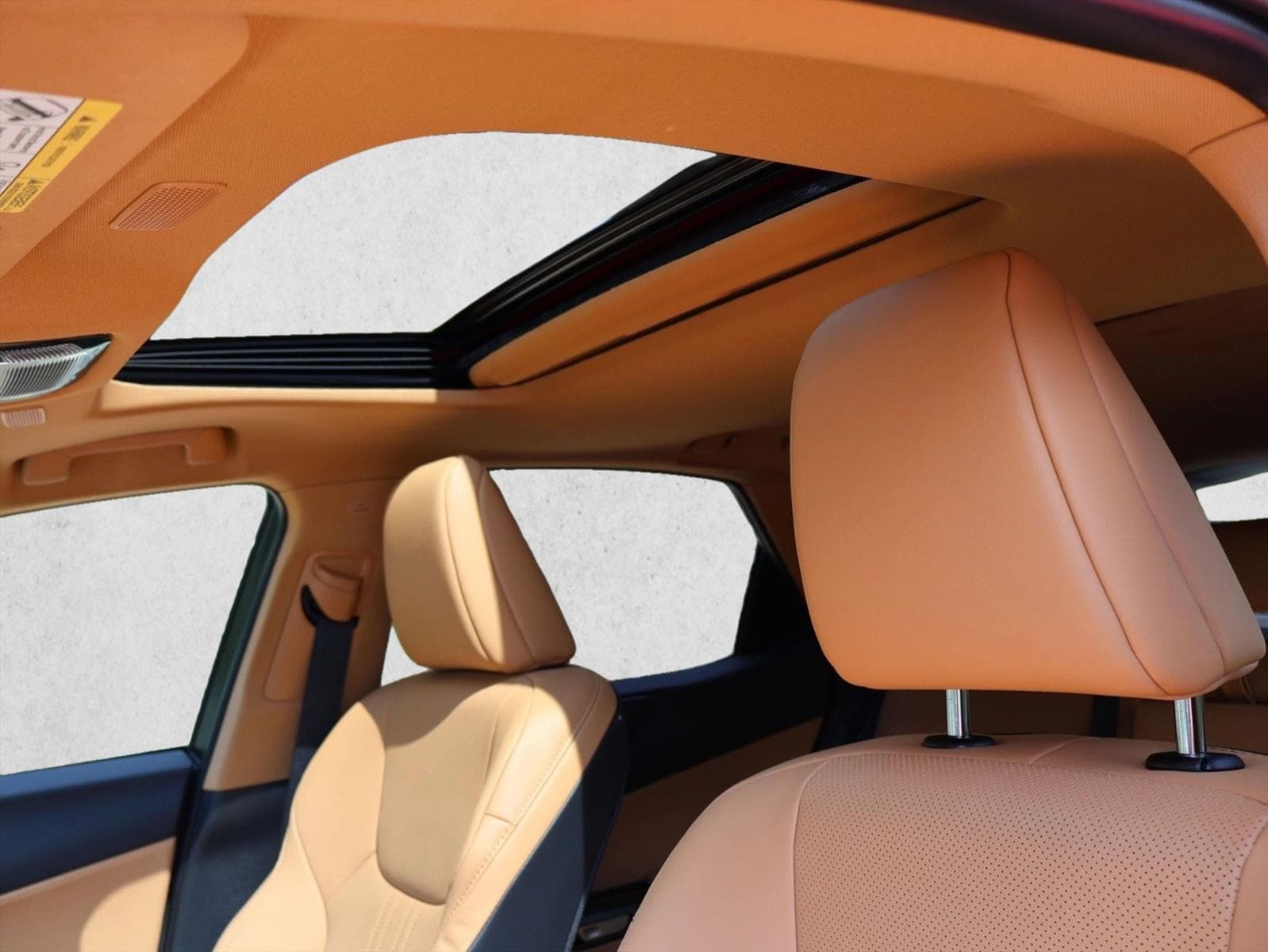2025 Lexus NX 350 - Photo 20