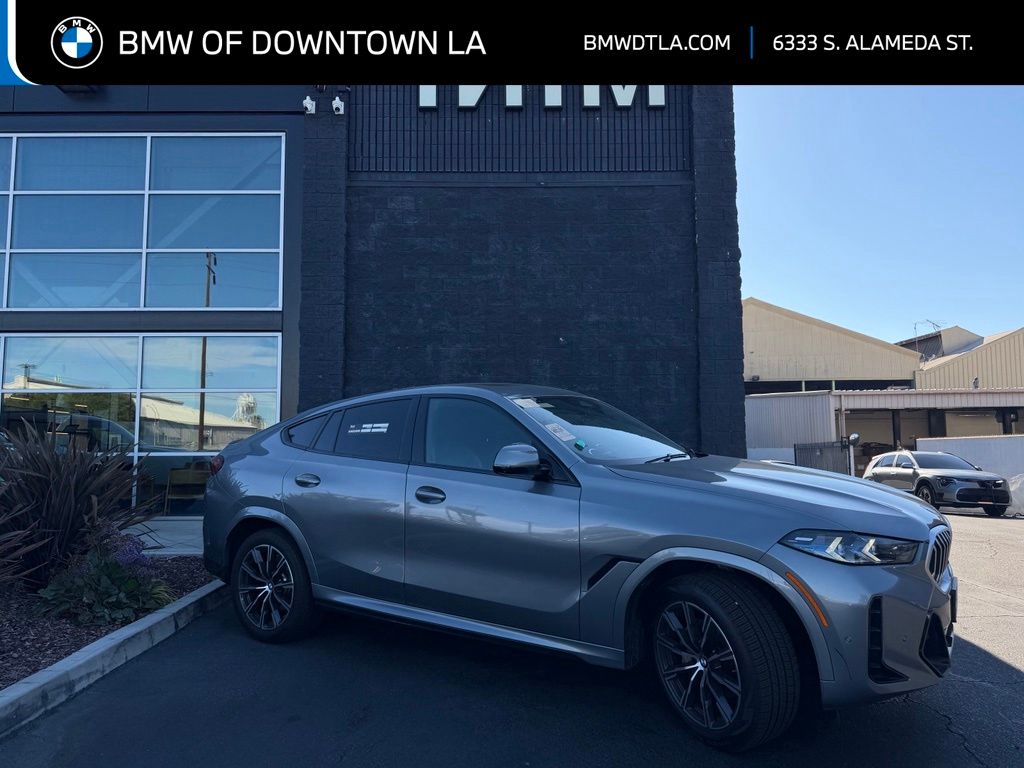 2024 BMW X6