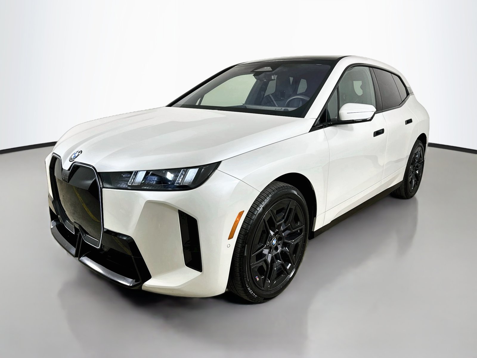 2026 BMW iX