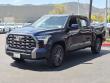 2023 Toyota Tundra 4WD Platinum Pickup