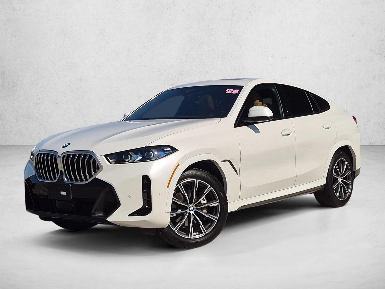 2025 BMW X6