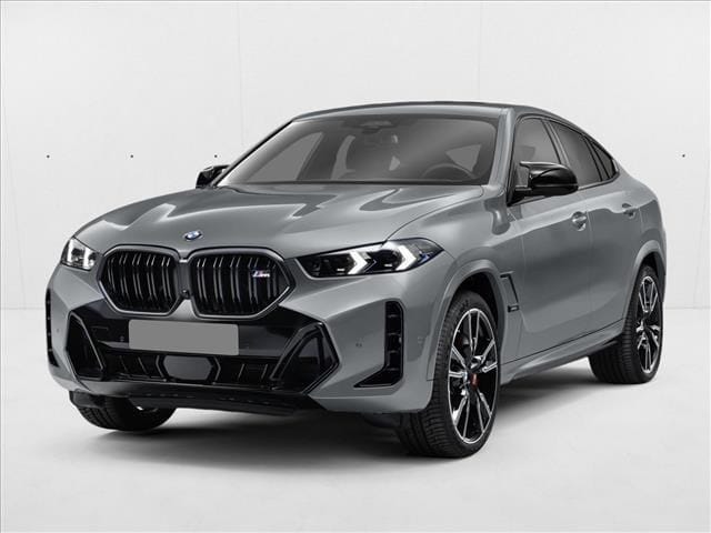 2024 BMW X6