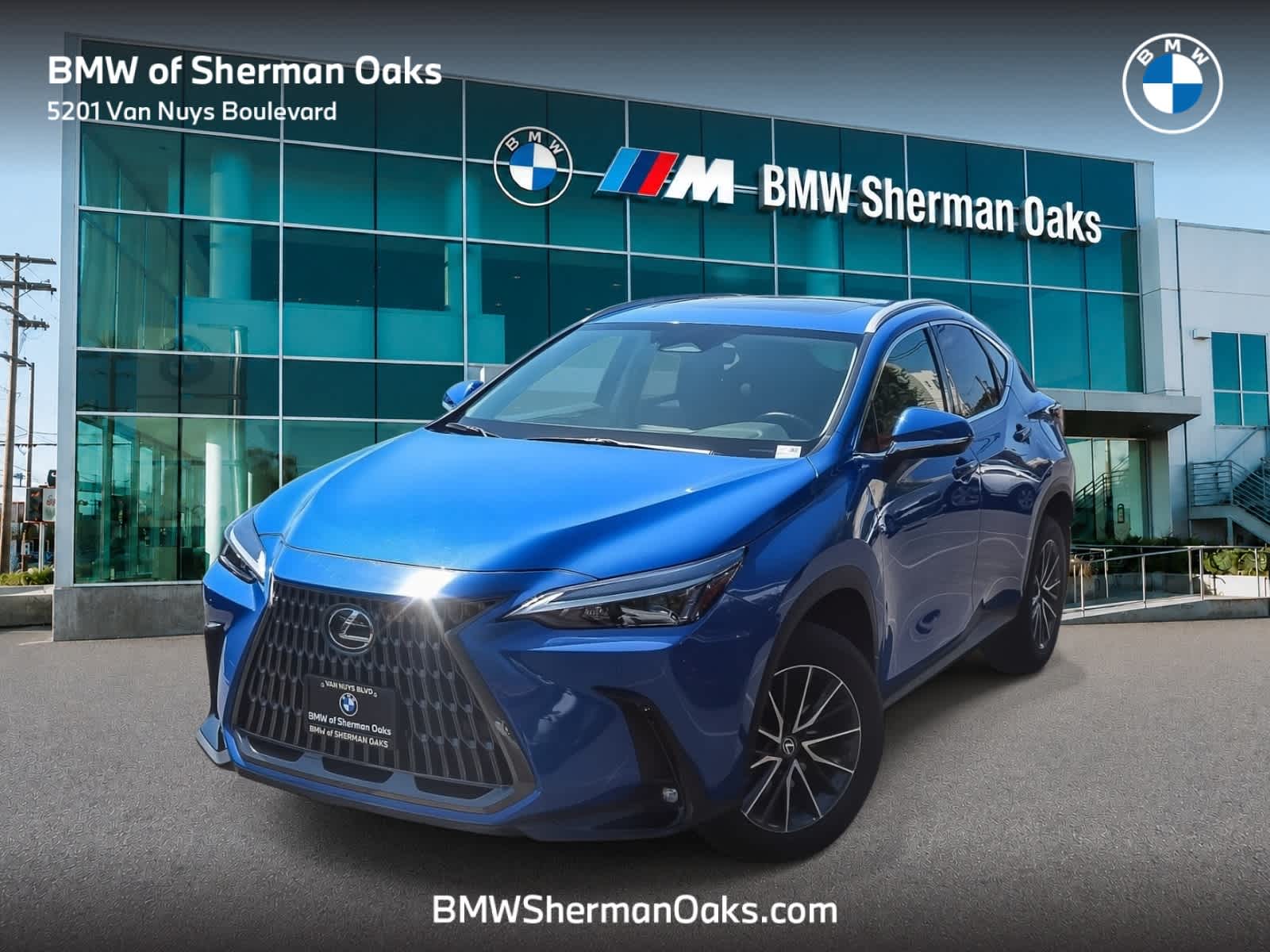 2025 Lexus NX