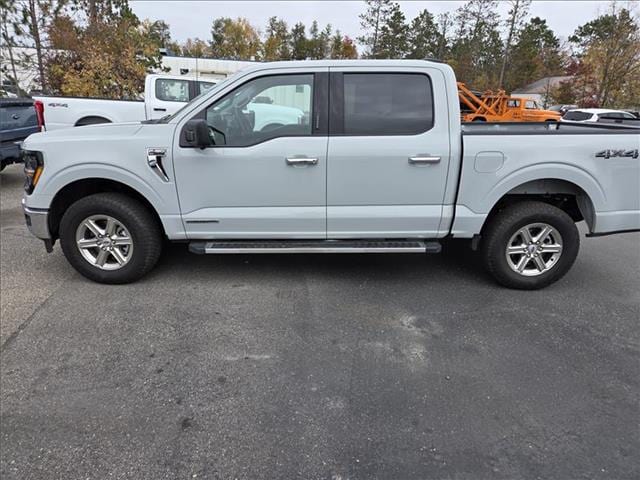 2024 Ford F-150 Crew Cab 