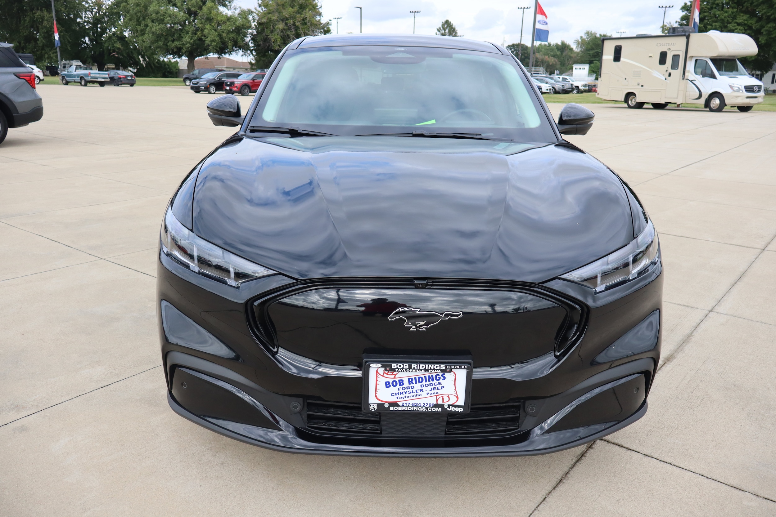 Used 2025 Ford Mustang Mach-E Premium AWD with VIN 3FMTK3SU8SMA05970 for sale in Taylorville, IL