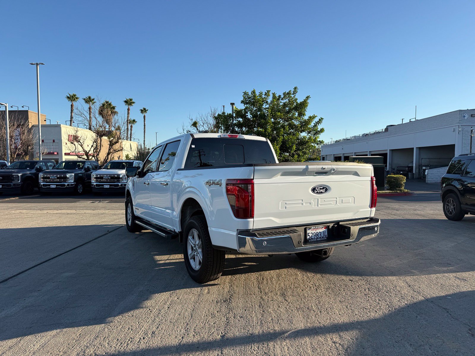 Used 2025 Ford F-150 XLT Truck