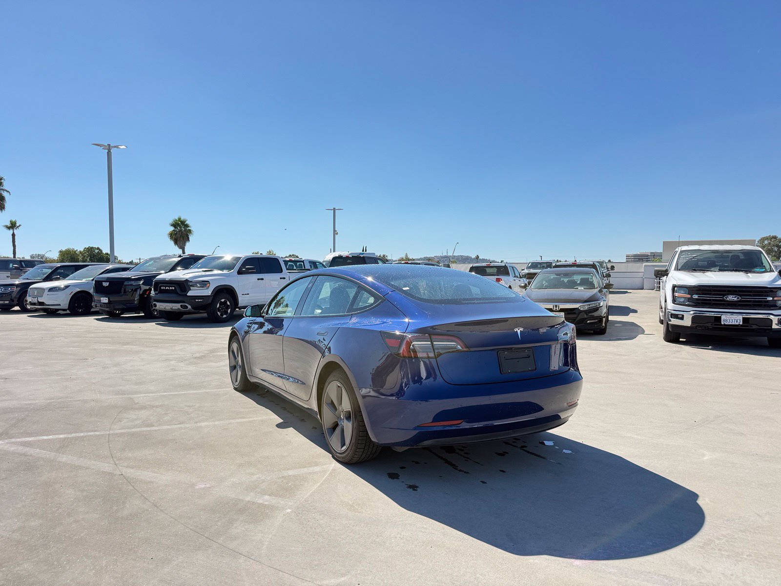 Used 2023 Tesla Model 3 Base with VIN 5YJ3E1EA7PF645911 for sale in Long Beach, CA