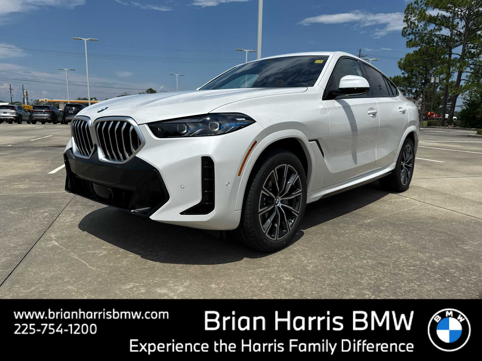 2026 BMW X6