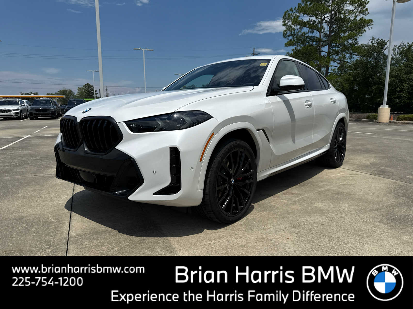2026 BMW X6