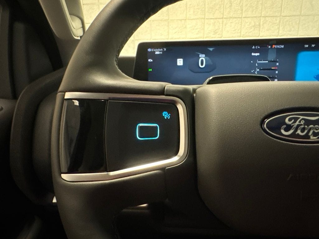 2025 Ford Expedition Active - Photo 33