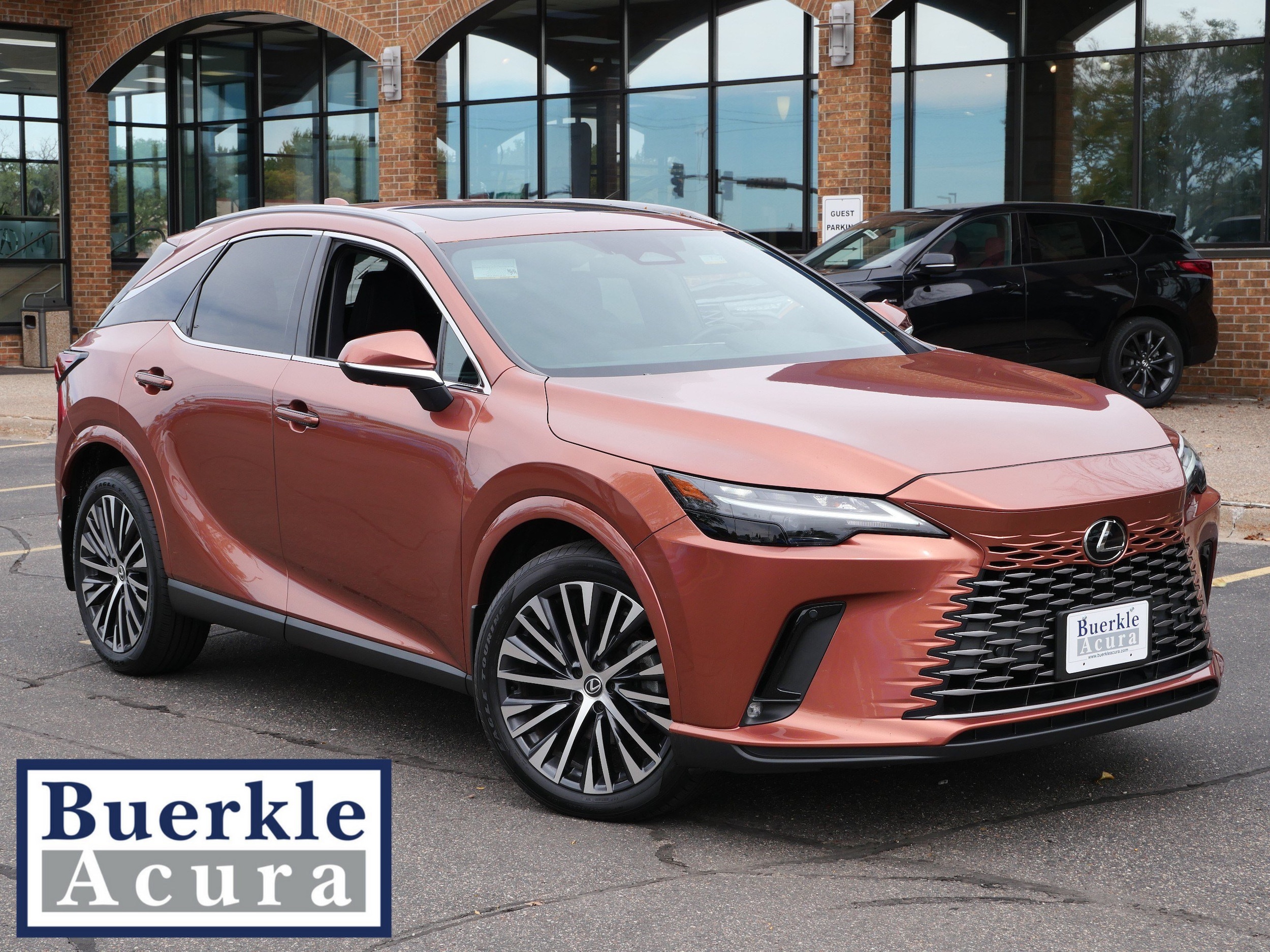 2023 Lexus RX