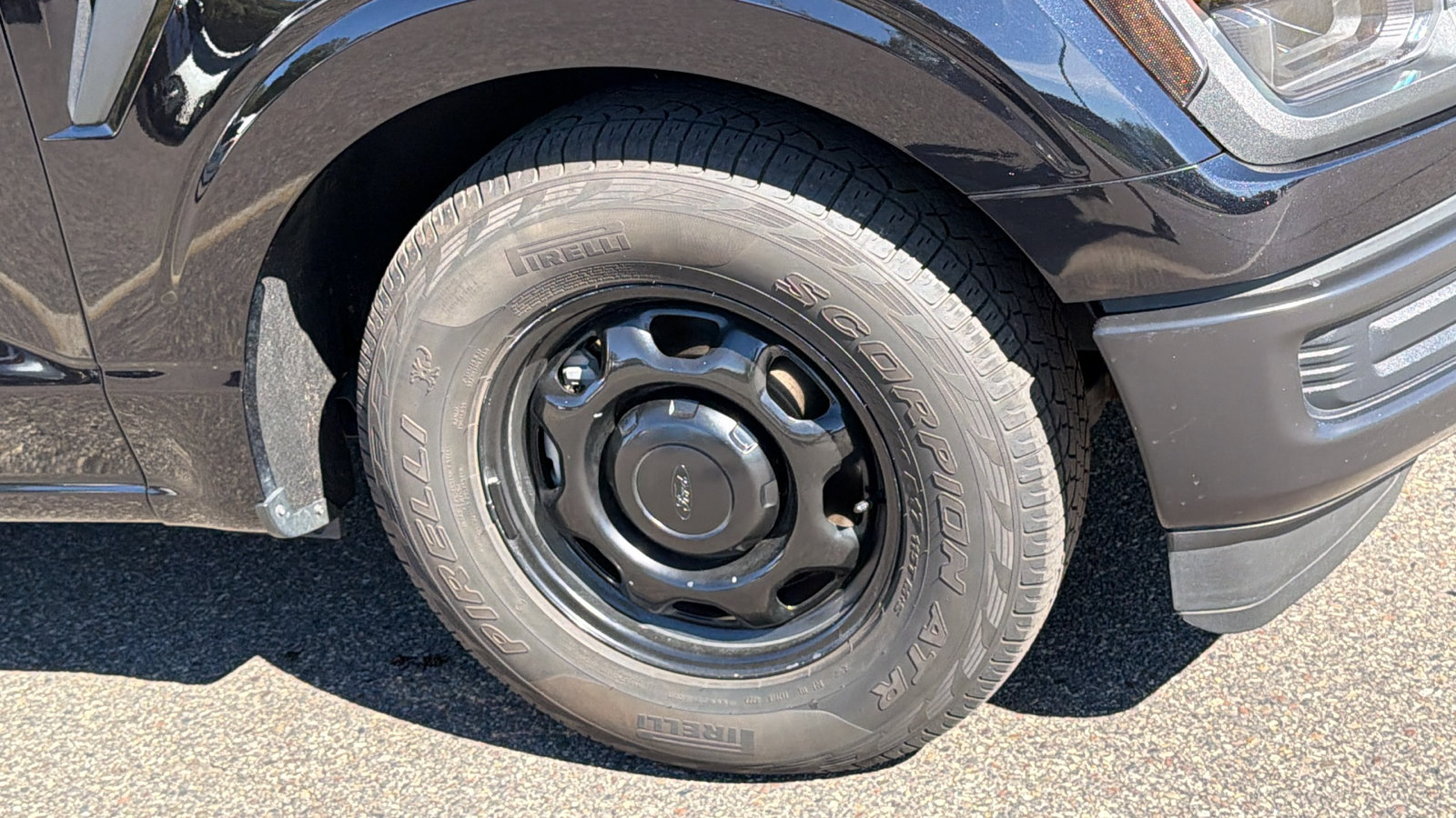 Used 2024 Ford F-150 XL Truck Regular Cab
