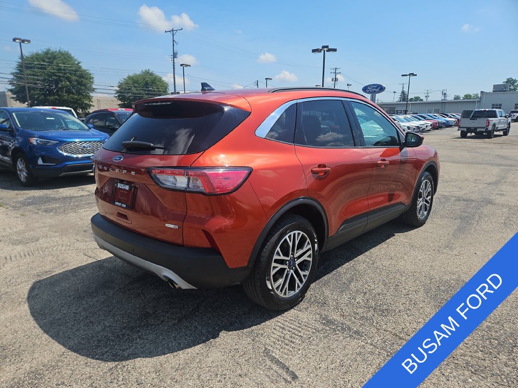 Used 2020 Ford Escape SEL SUV