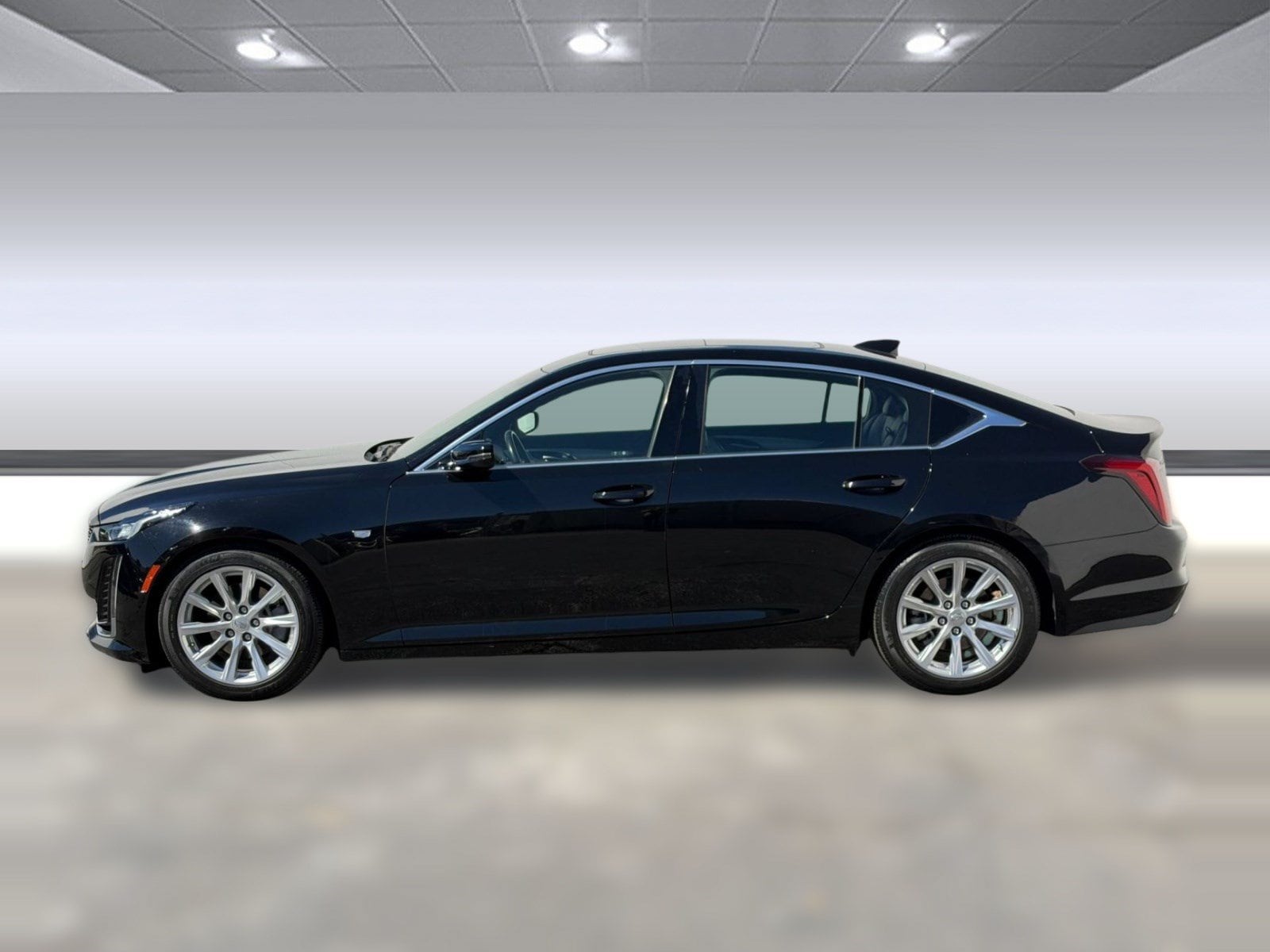 1G6DW5RK8P0151599
