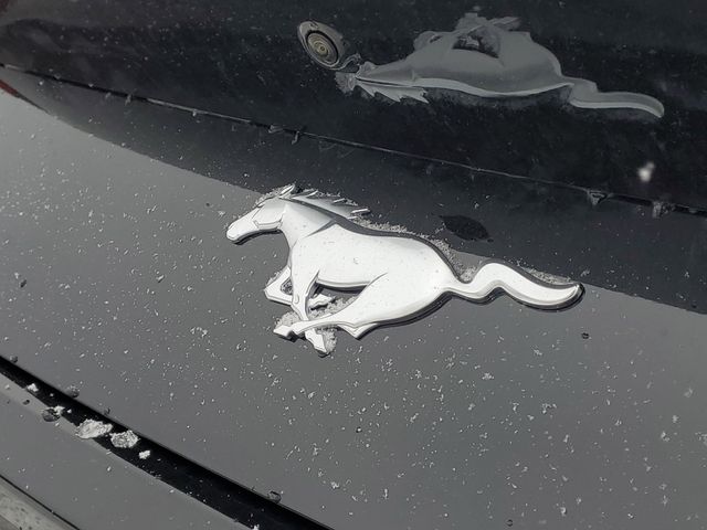 2026 Ford Mustang EcoBoost Premium Fastback - Photo 6