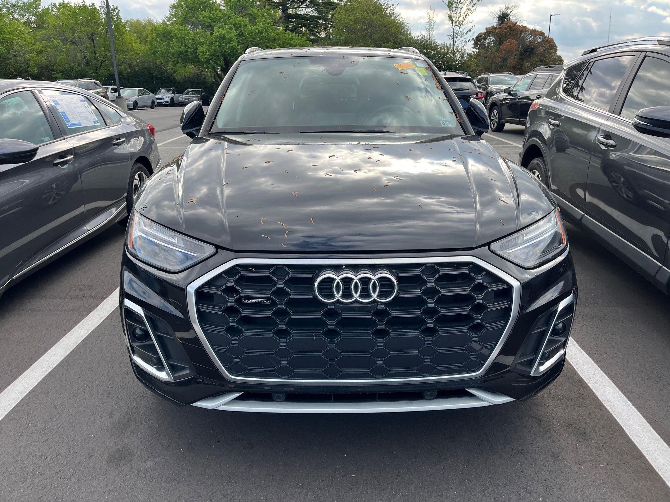 Used 2022 Audi Q5 S line Premium Plus S line Premium Plus 45 TFSI quattro