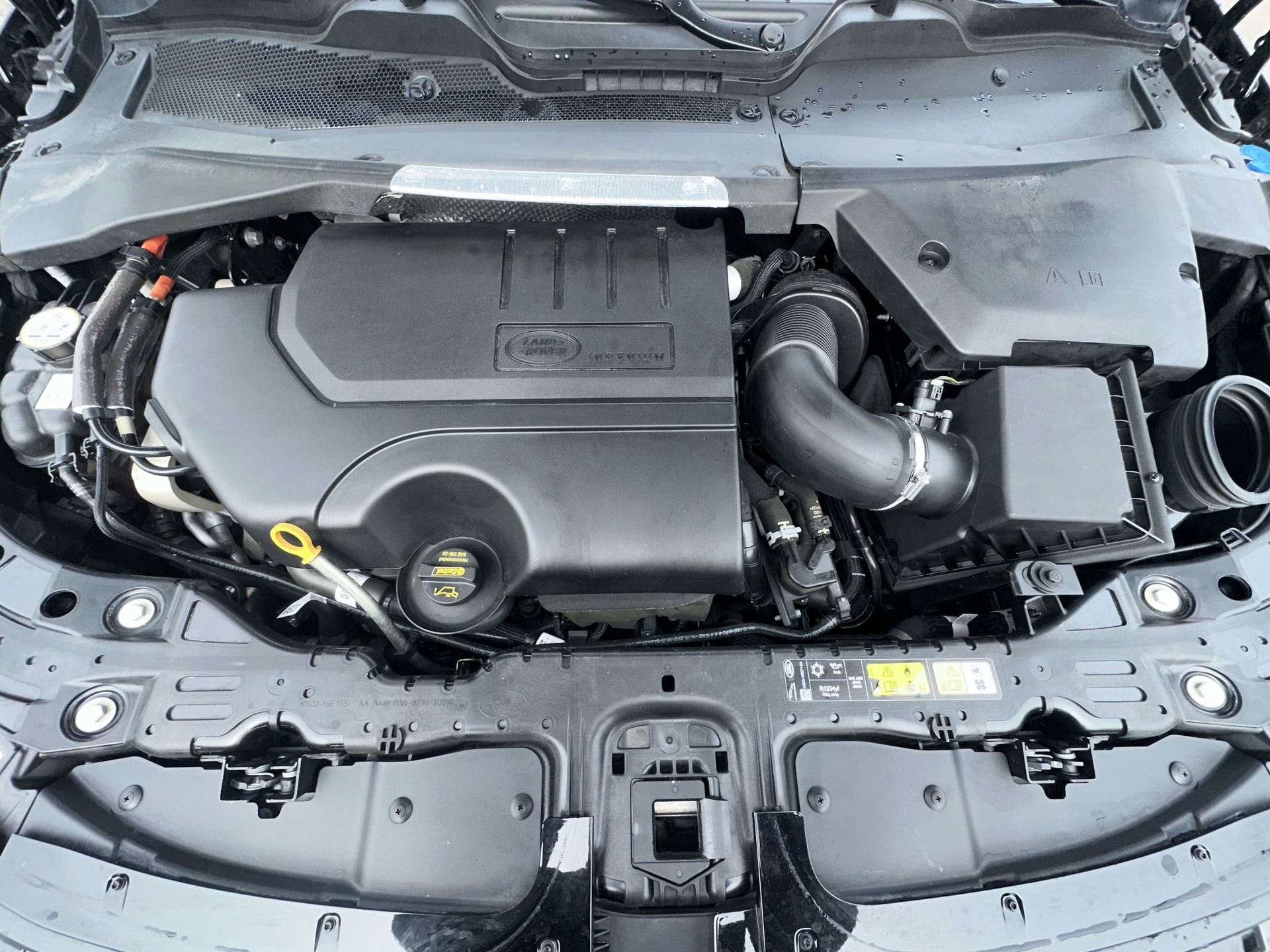 2024 Land Rover Range Rover Evoque Dynamic SE - Photo 10