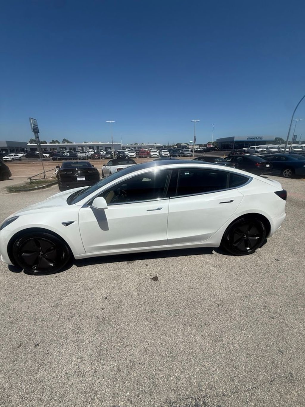 Used 2019 Tesla Model 3 Long Range Sedan