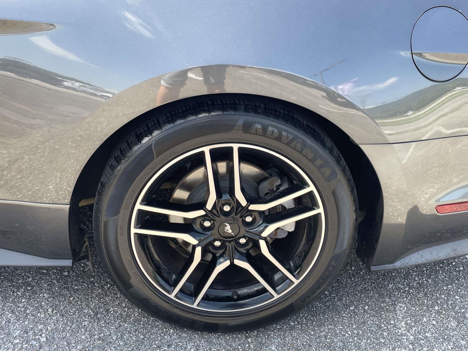 Used 2020 Ford Mustang EcoBoost Premium with VIN 1FATP8UH6L5114542 for sale in Anniston, AL
