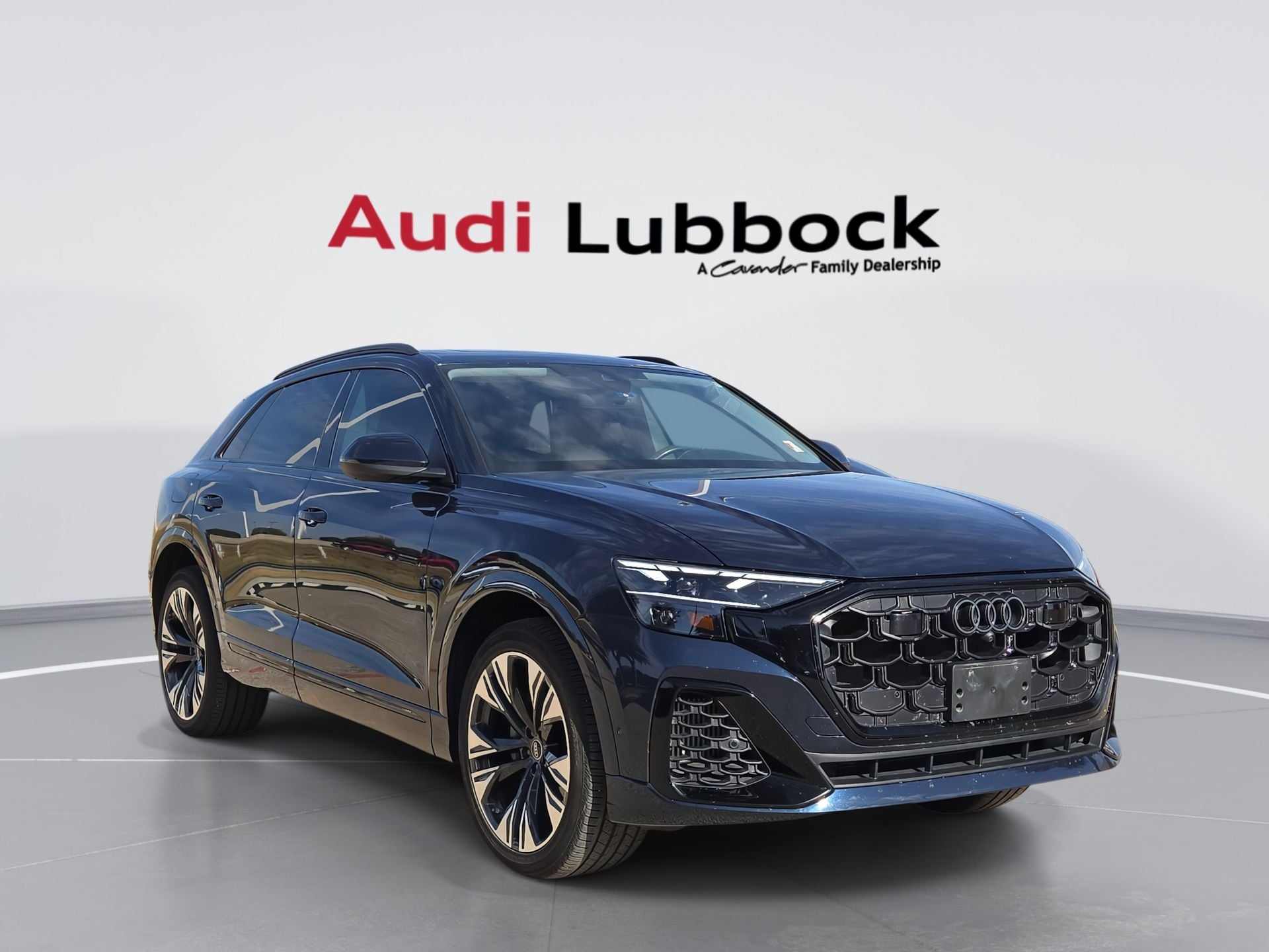 2025 Audi Q8