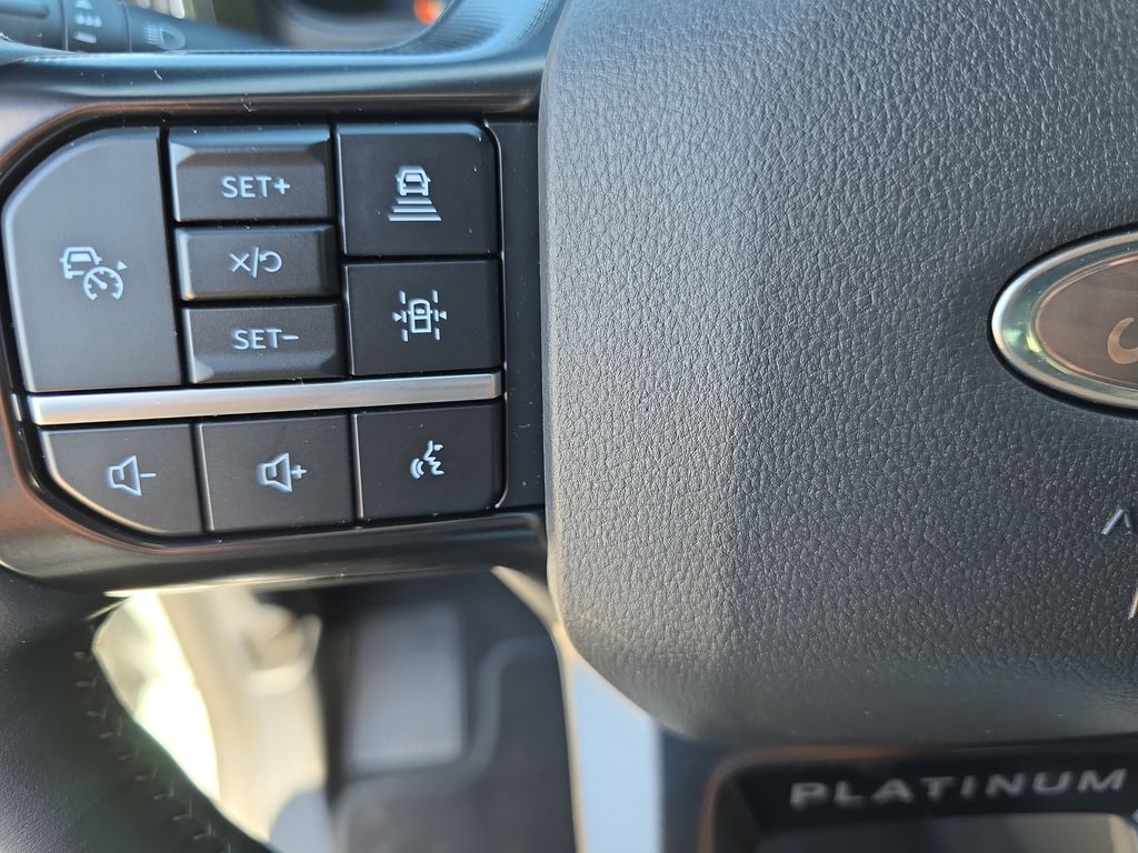 2026 Ford F-250 Super Duty Platinum - Photo 15