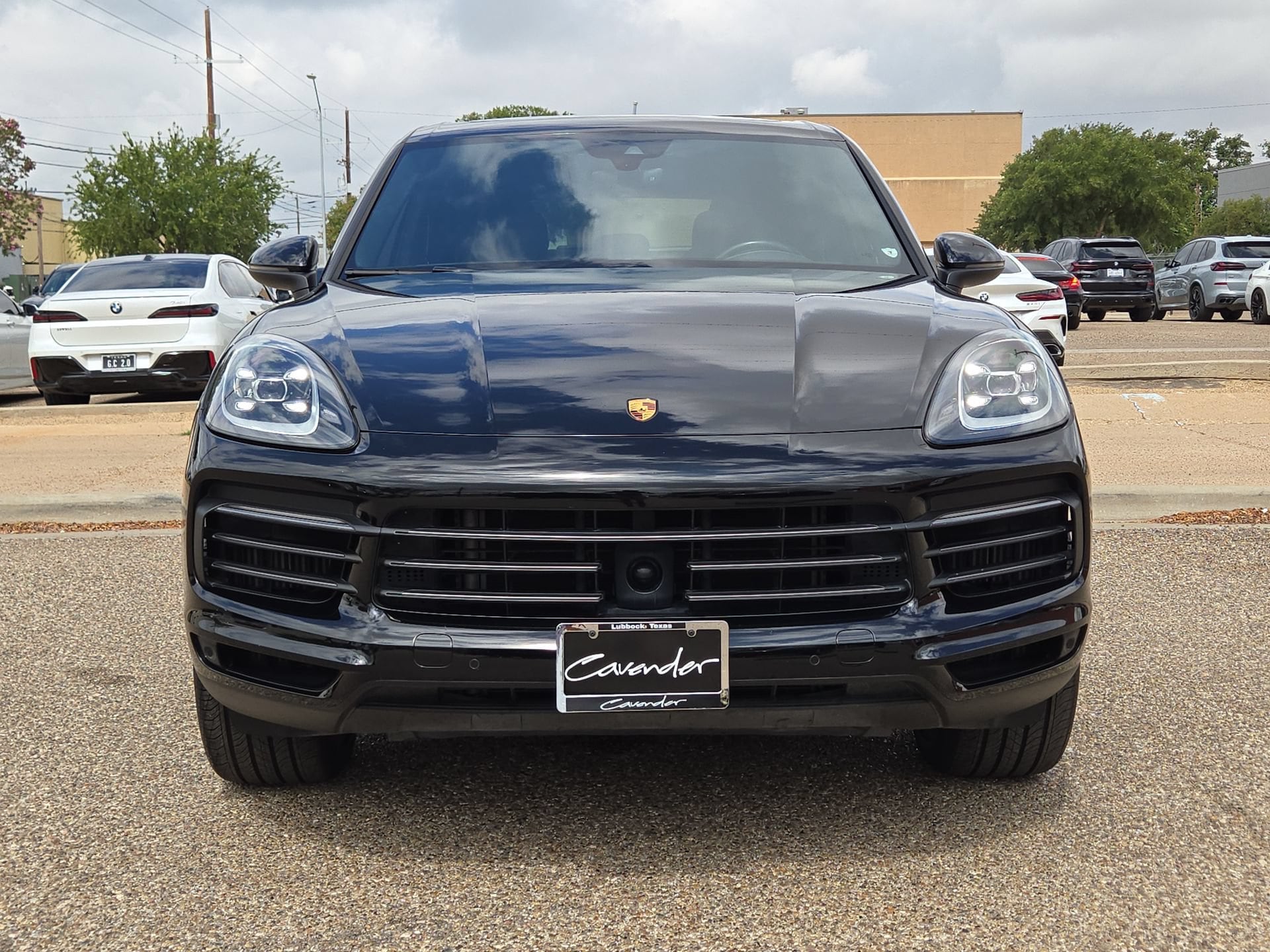 Photo 10