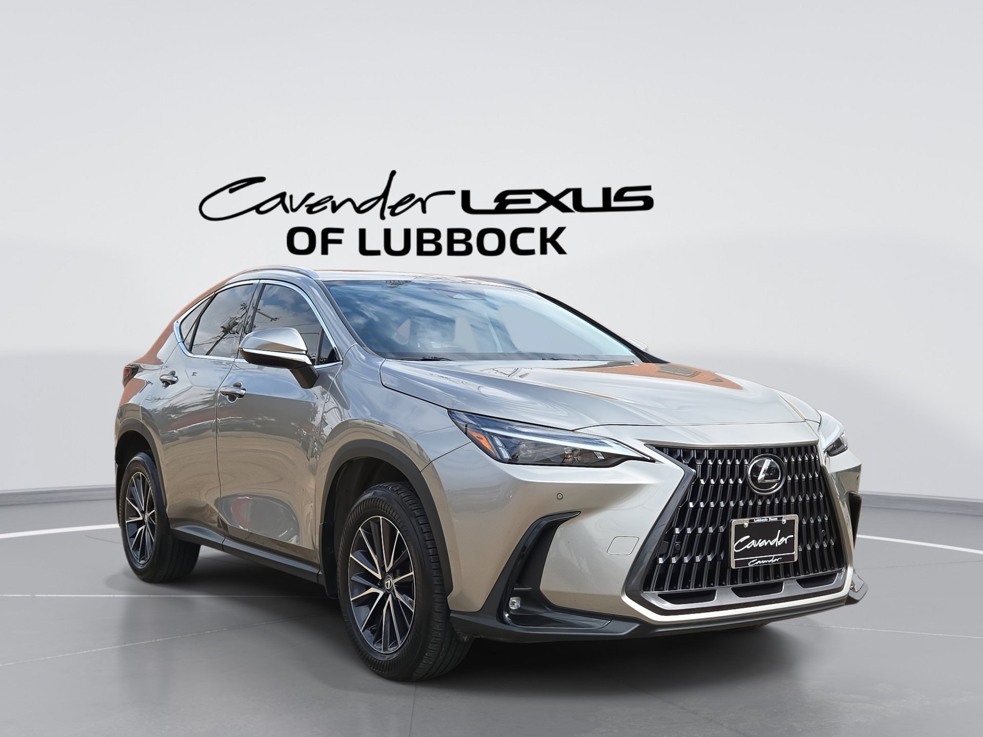 2024 Lexus NX