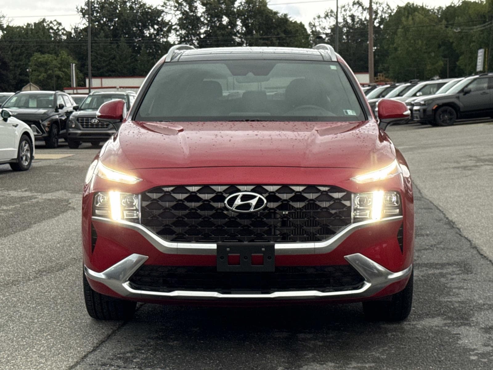 2023 Hyundai Santa Fe Calligraphy - Photo 9