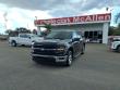 Used 2025 Ford F-150 XLT Truck