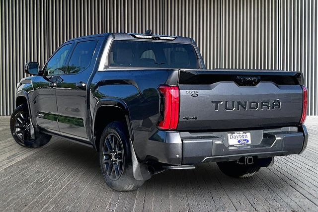 2023 Toyota Tundra Platinum - Photo 12