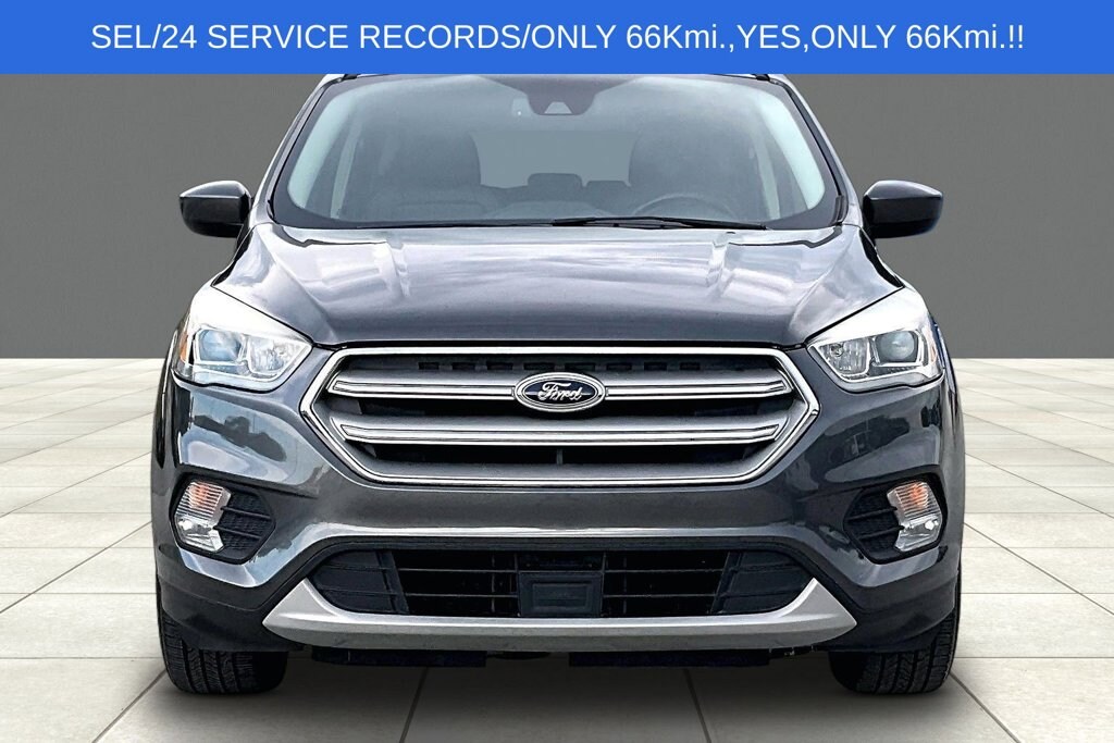 Used 2019 Ford Escape SEL SUV