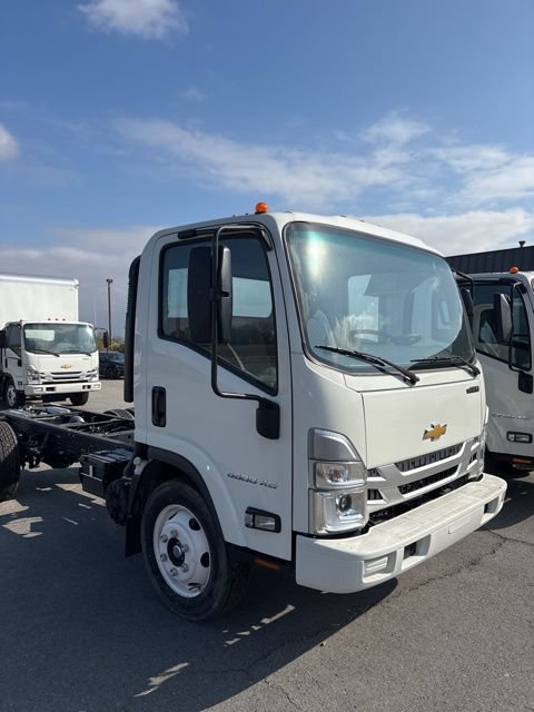 New 2024 Chevrolet Low Cab Forward 5500 XG Medium ASH Gray Truck