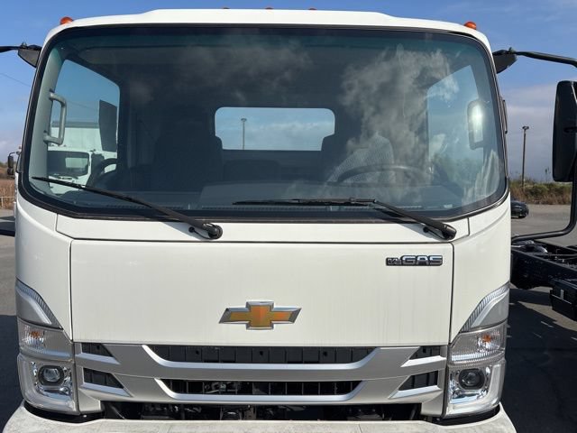New 2024 Chevrolet Low Cab Forward 5500 XG Medium ASH Gray Truck