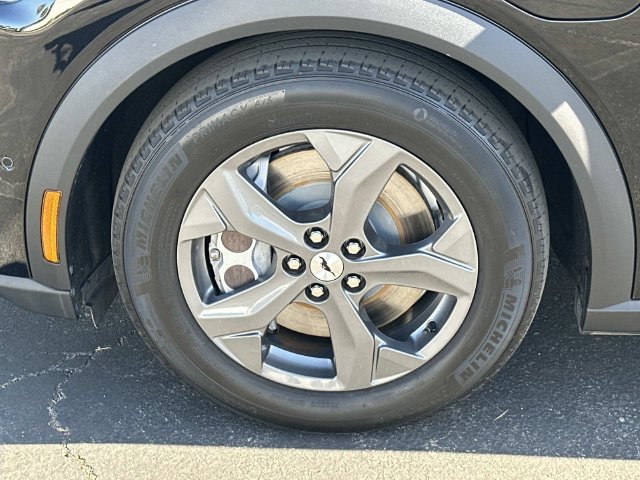 Photo 38