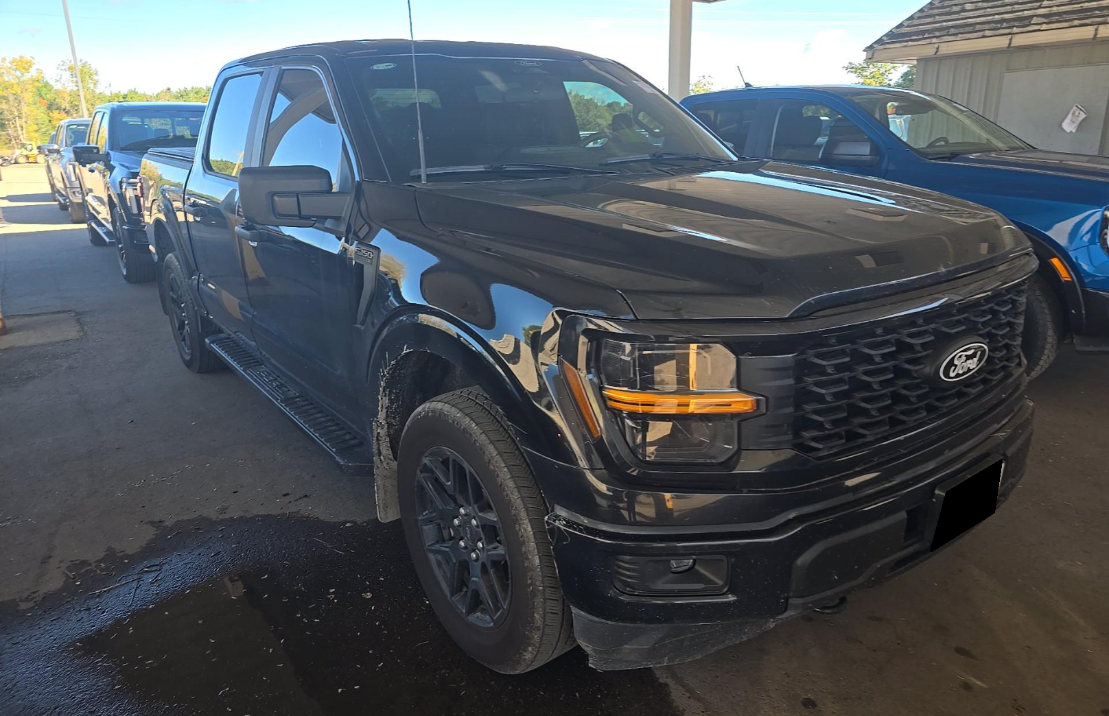 Used 2024 Ford F-150 STX Truck