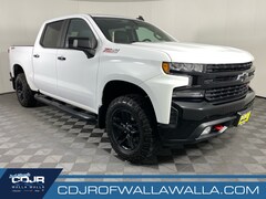 2019 Chevrolet Silverado 1500 LT Trail Boss Truck Crew Cab