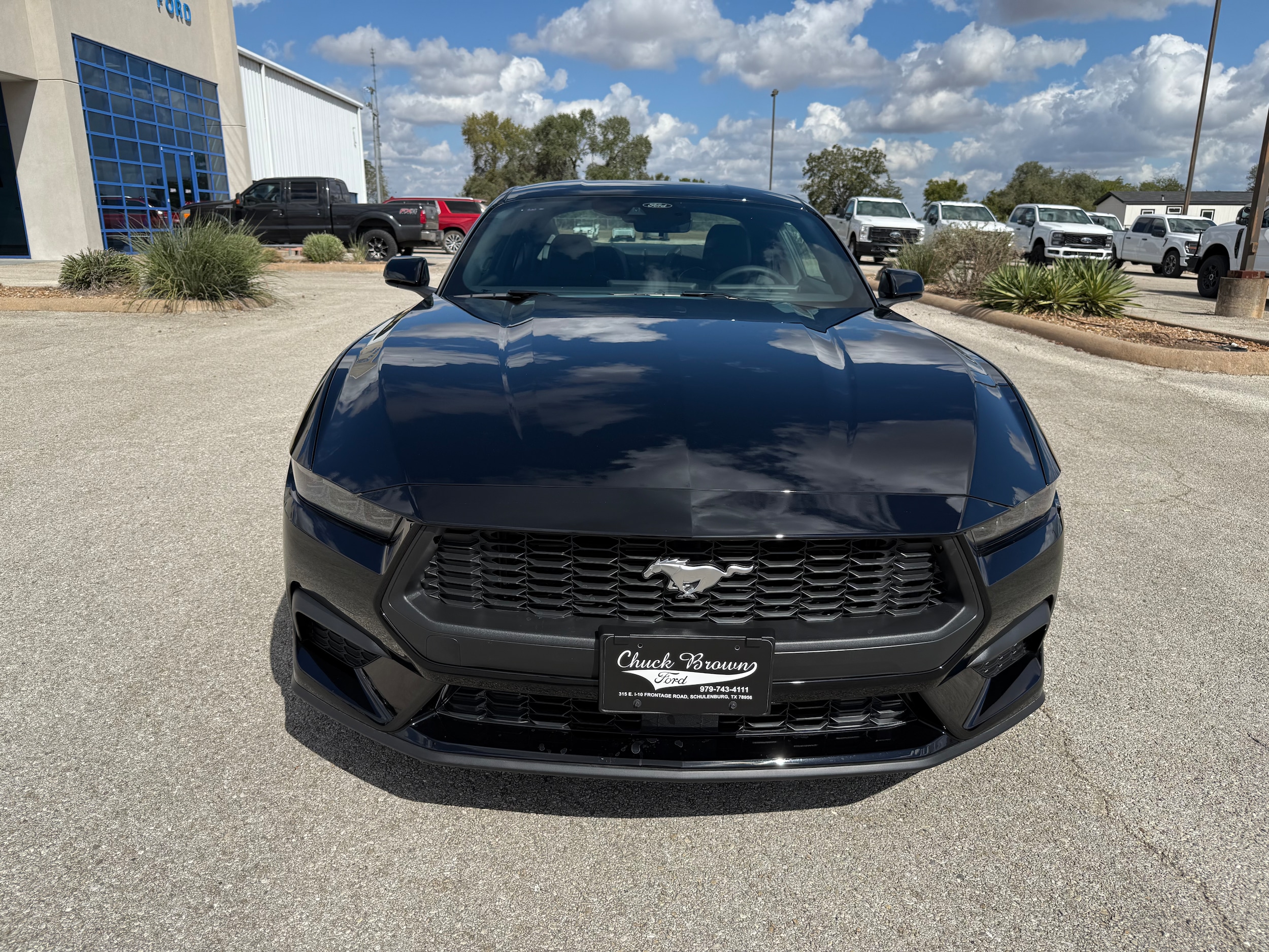 2025 Ford Mustang EcoBoost Fastback - Photo 8