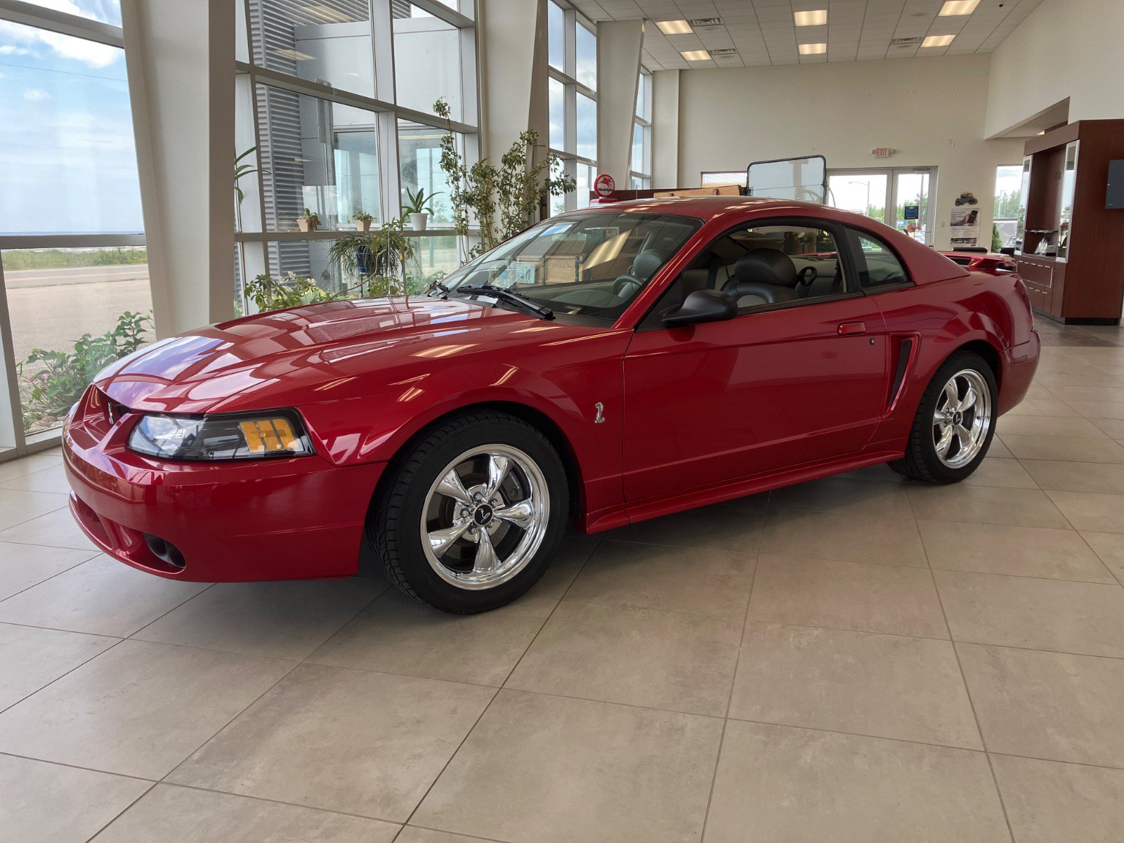 2001 Ford Mustang Cobra SVT