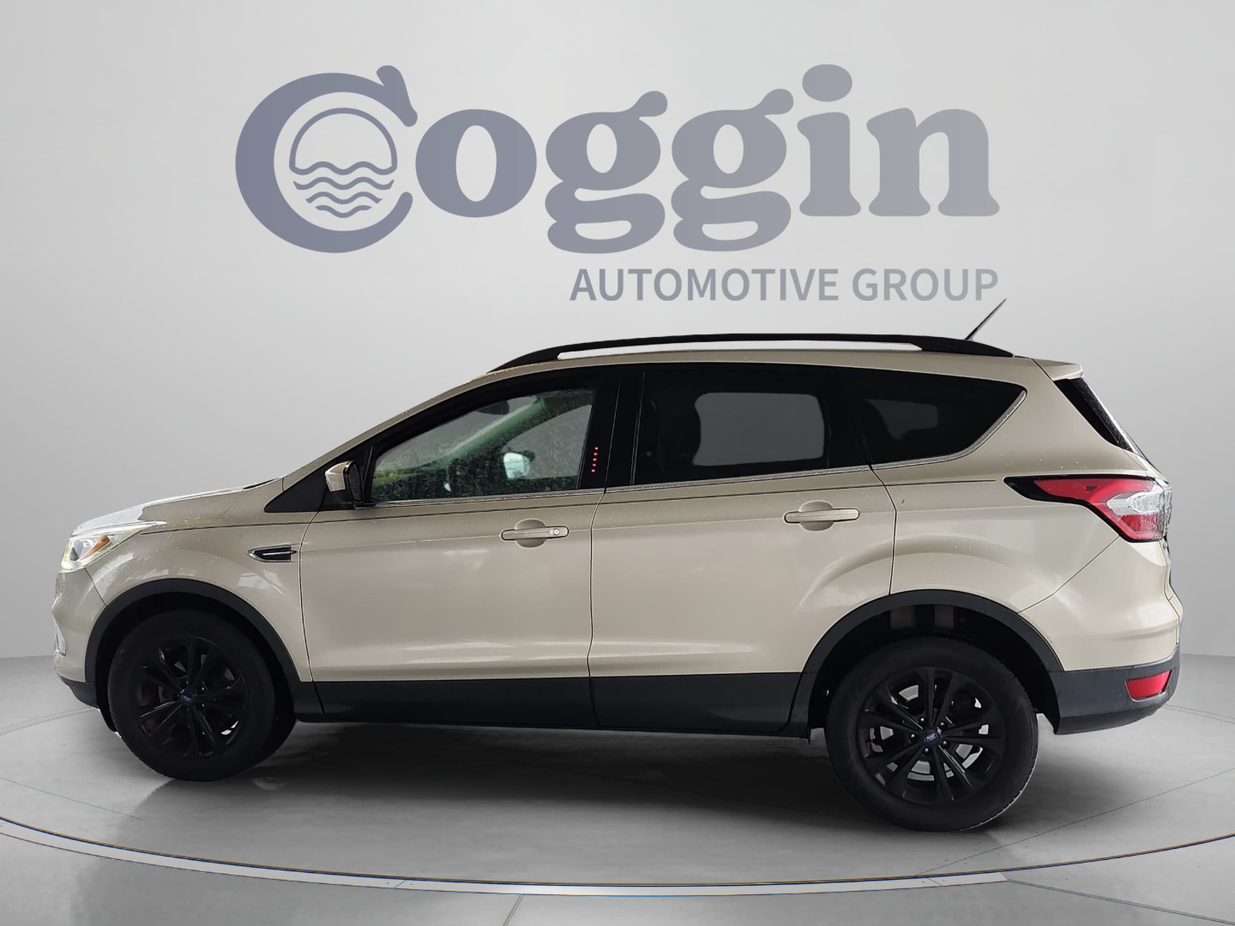 Used 2017 Ford Escape SE with VIN 1FMCU0GD8HUD81915 for sale in Orange City, FL