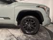 2024 Toyota Tundra 4WD Platinum Pickup