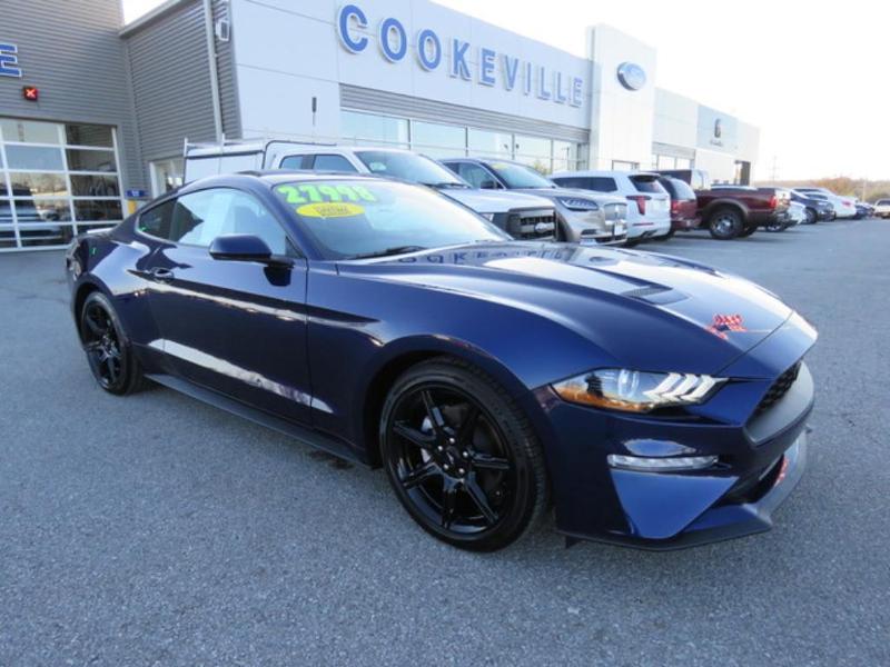 2019 Ford Mustang