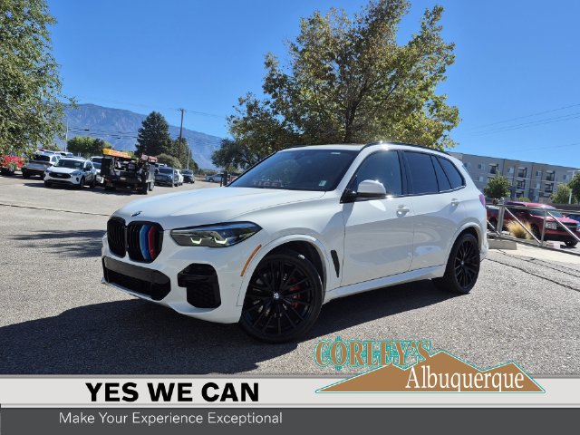 2023 BMW X5