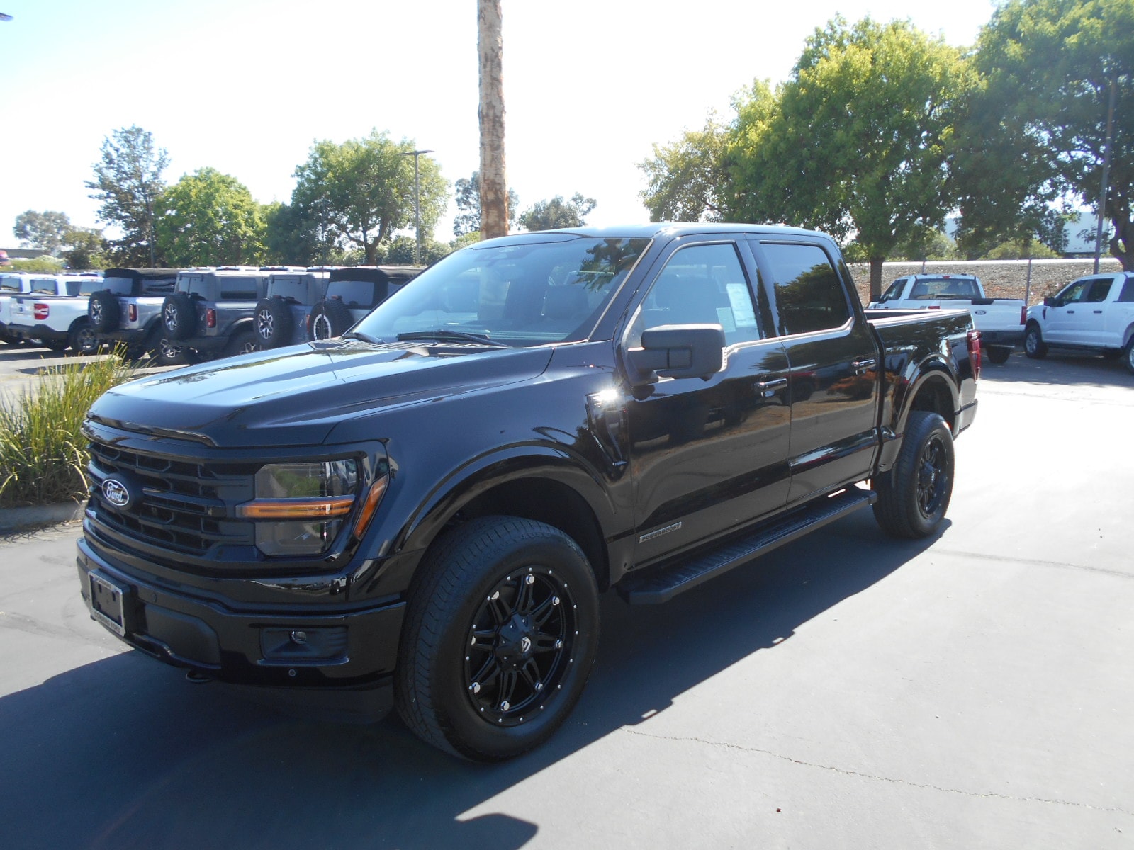 2025 Ford F-150 XLT Crew Cab