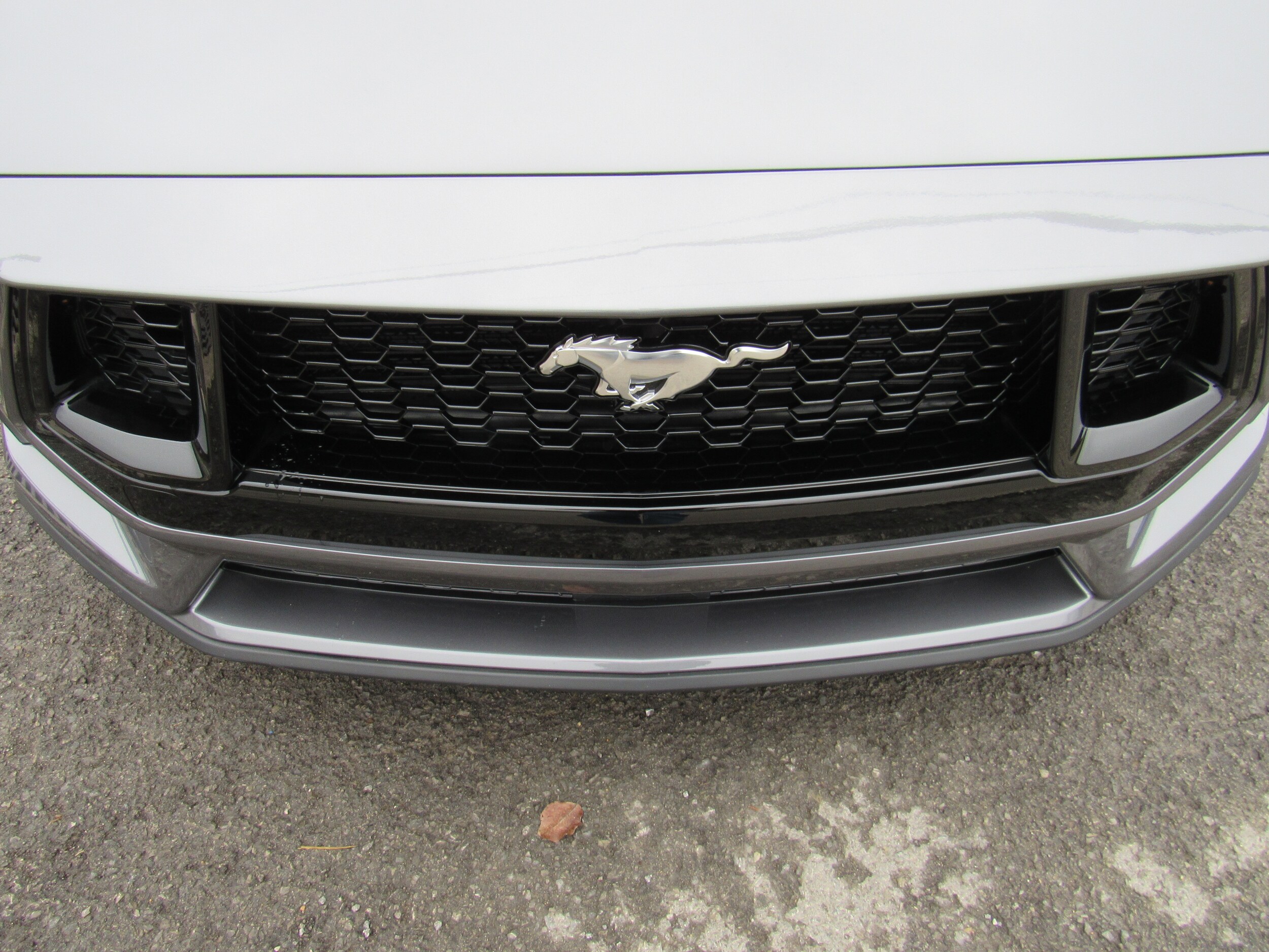 2026 Ford Mustang GT Premium Fastback - Photo 17