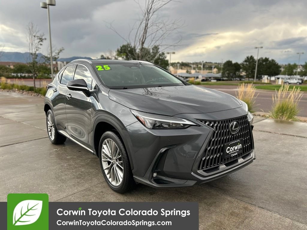2025 Lexus NX