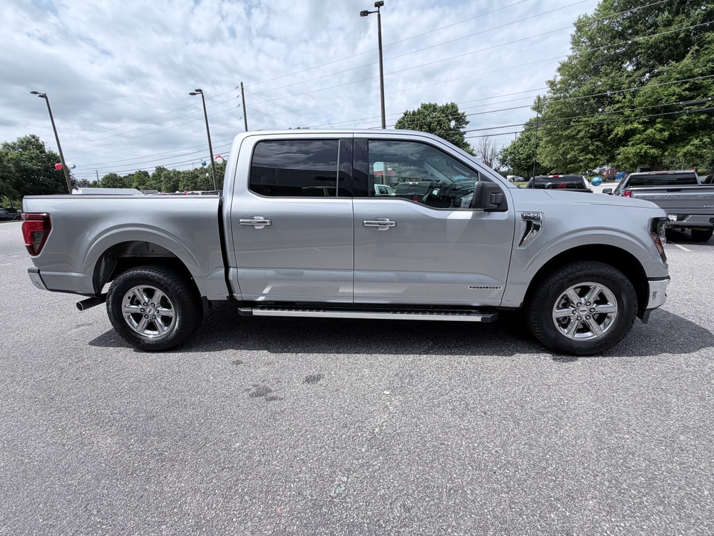 Used 2025 Ford F-150 XLT Crew Cab