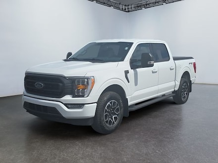 2023 Ford F-150 XLT Truck