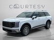  Hyundai Palisade Hybrid